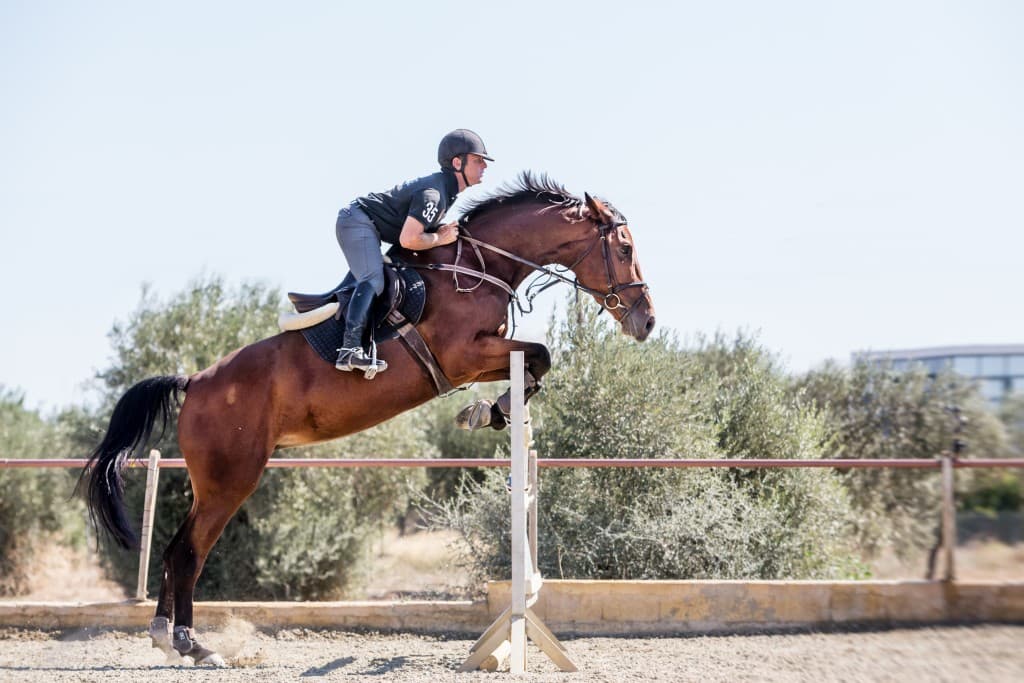 Horse Riding School In Athens Greece